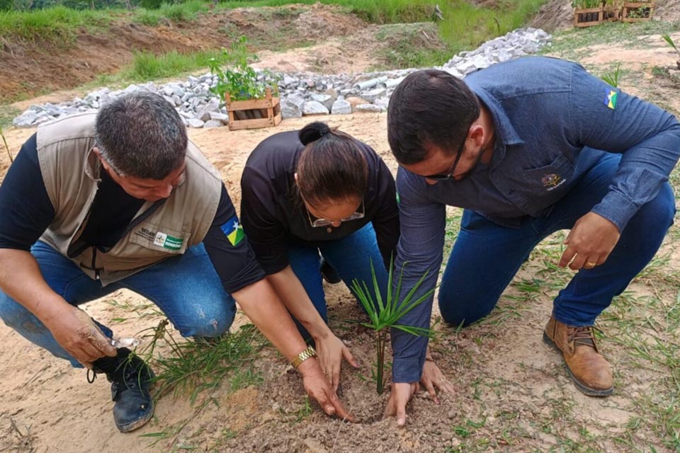 Recomposição florestal de Áreas de Preservação Permanente é realizada em Espigão do Oeste