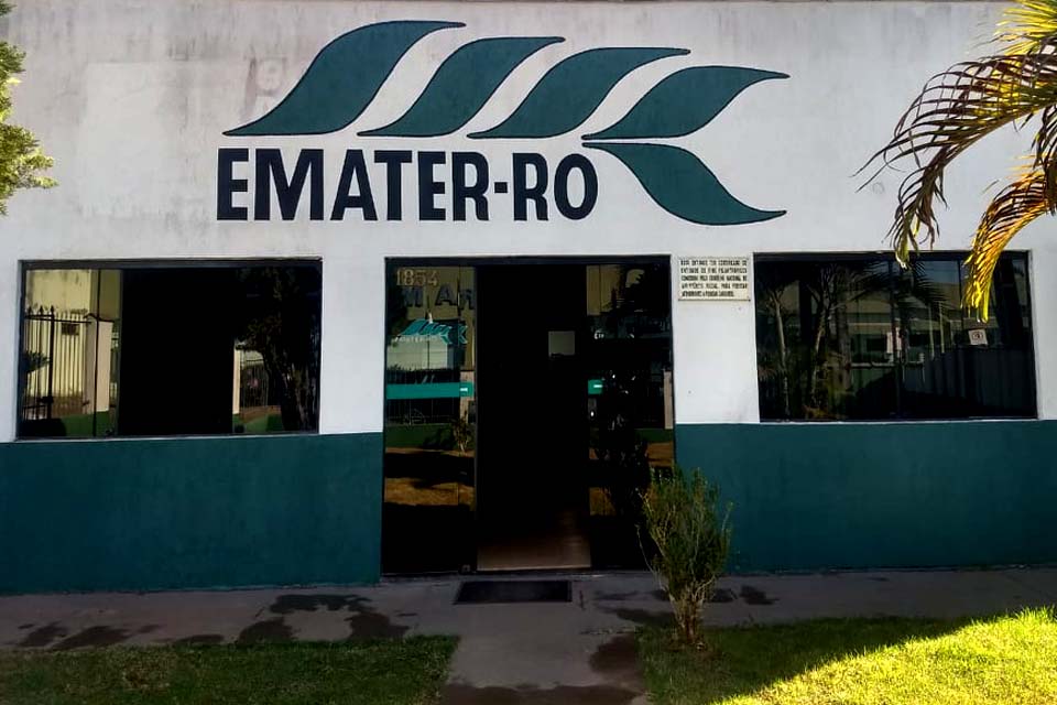 Emater retoma atendimento nos escritórios regionais com foco na segurança de produtores e servidores de Rondônia