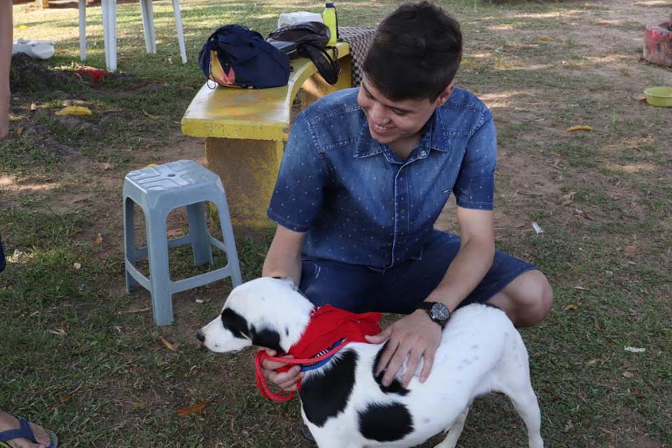 Sempba de Ji-Paraná reforça campanha de adoção de animais de rua