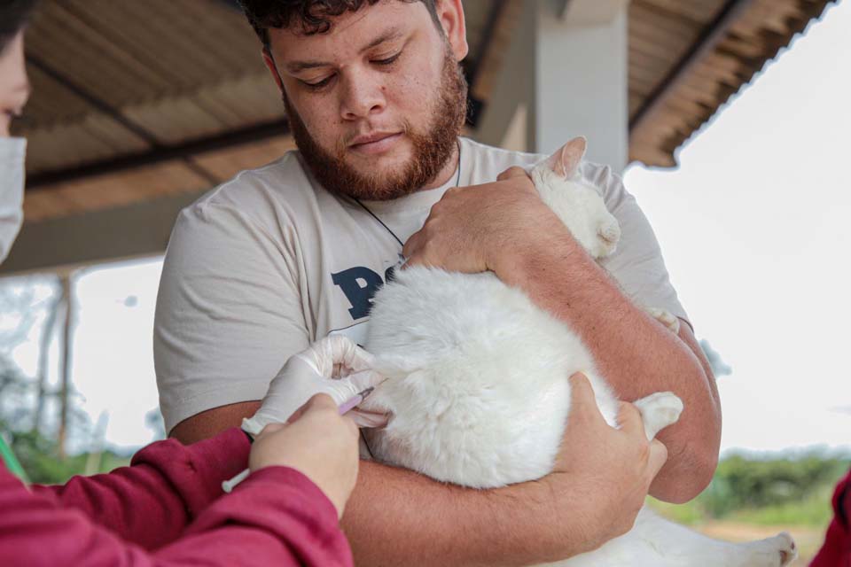 Vacinação para cães e gatos será realizada na Vila Princesa neste sábado (24)