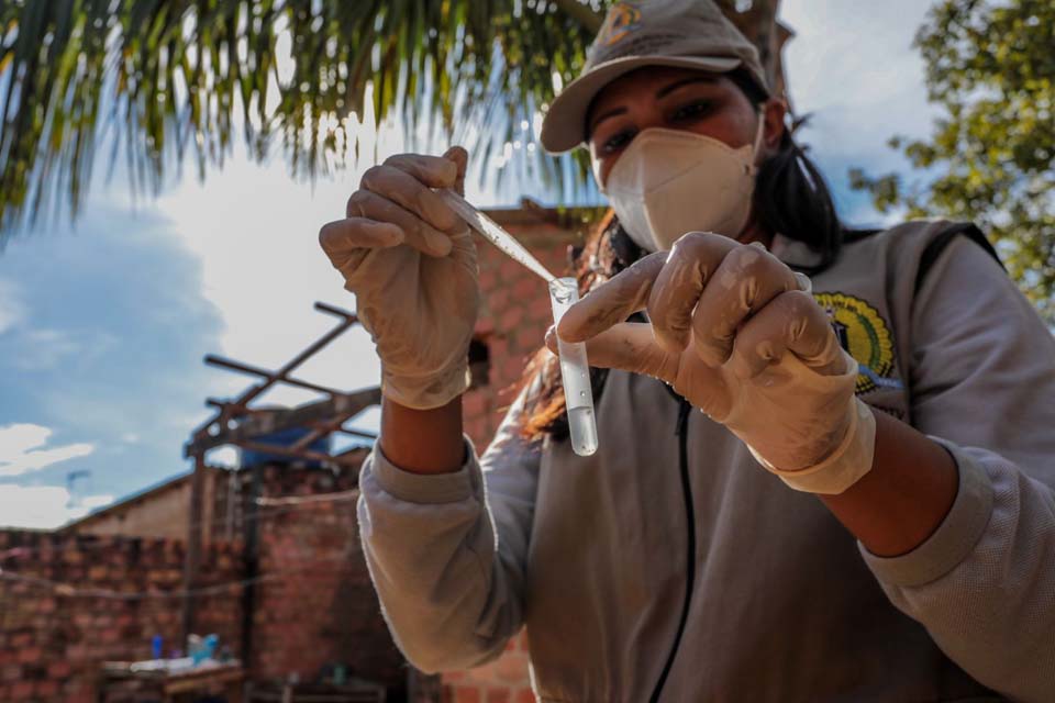 Prefeitura de Porto Velho faz levantamento para identificar focos do mosquito Aedes aegypti