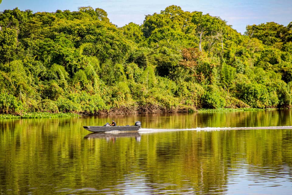 Indicadores ambientais e de produtividade apontam que Rondônia avança em sustentabilidade