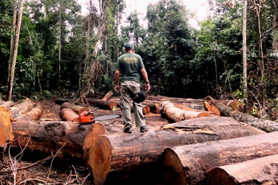 Amazônia perdeu o equivalente a dez vezes o estado do Rio de Janeiro em 37 anos, aponta MapBiomas