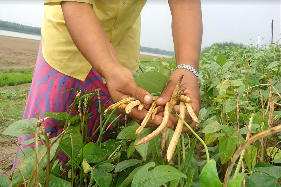 BASA deve perder R$ 51,5 milhões em empréstimos para Lojas Americanas e em Rondônia sacrifica Agricultura familiar