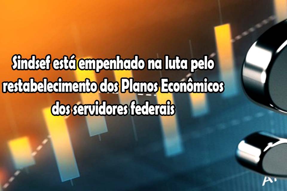 SINDSEF-RO está empenhado na luta pelo restabelecimento dos Planos Econômicos dos servidores federais de diversos órgãos