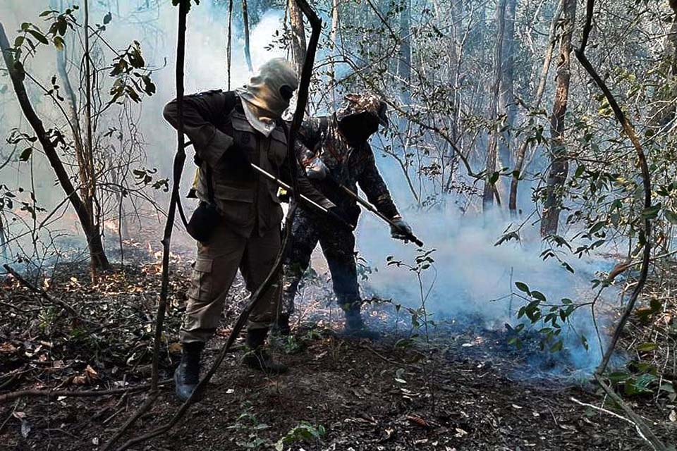 Marinho defende medidas preventivas para evitar incêndios no Pantanal