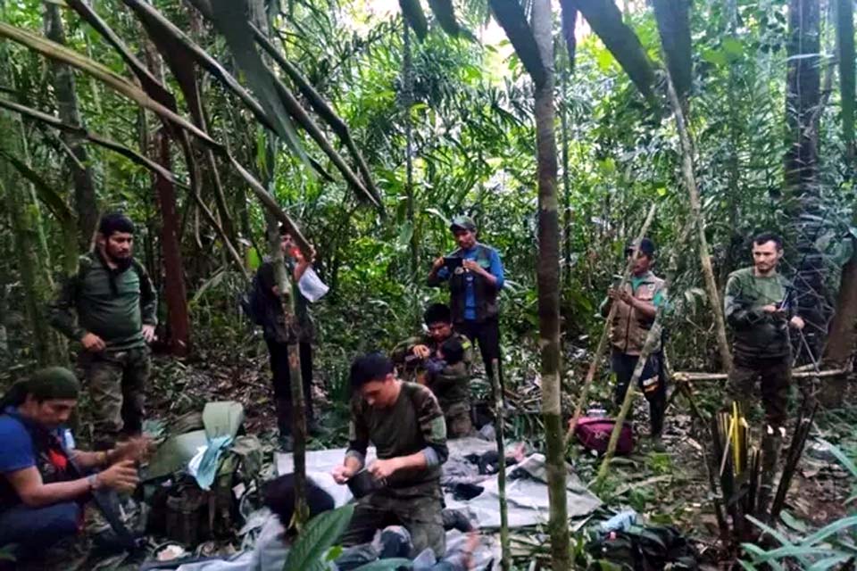 História de Resiliência: Menina de 13 anos protege irmãos na selva por mais de um mês