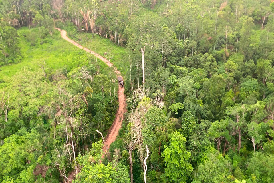 STJ mantém ordem de desocupação do Parque Estadual de Guajará-Mirim e elogia atuação do MPRO para a proteção da área e retirada pacífica de invasores