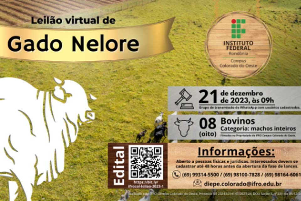 Leilão virtual de gado nelore será realizado pelo IFRO Campus Colorado do Oeste