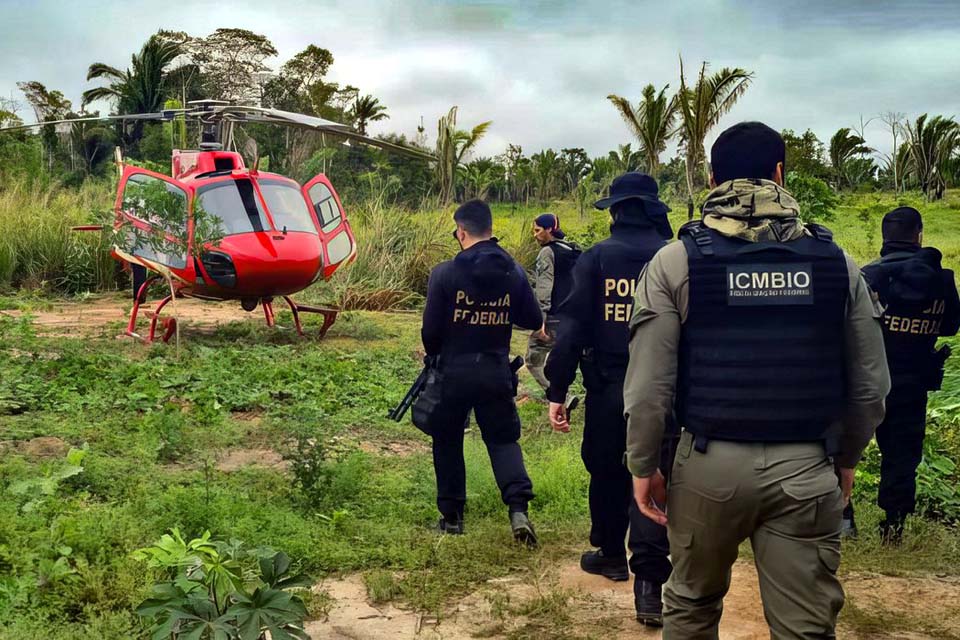 Pesquisa traça conexões entre narcotráfico e crimes ambientais no país