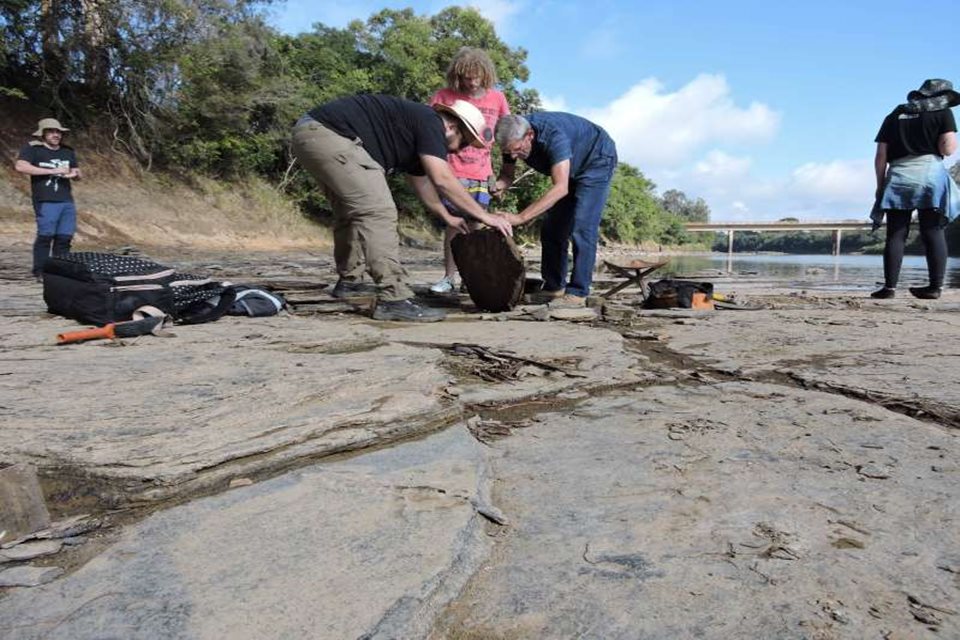 Seca em Santa Catarina expõe fósseis de mais de 280 milhões de anos