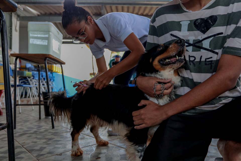 Dia D de Vacinação contra a raiva para cães e gatos acontece neste sábado (28), em Porto Velho