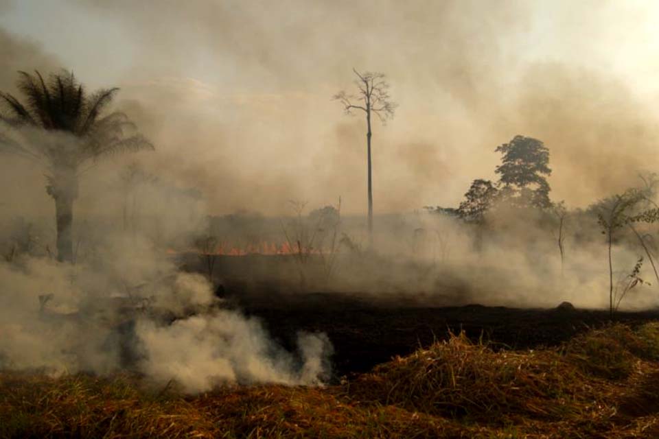 Morro do Sapo arde em chamas novamente; causas do incêndio ainda são desconhecidas