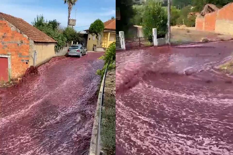 Cidade de Anadia, em Portugal, é atingida por correnteza correnteza de vinho