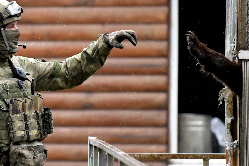 Soldados russos comeram animais de zoológico na Ucrânia, dizem voluntários