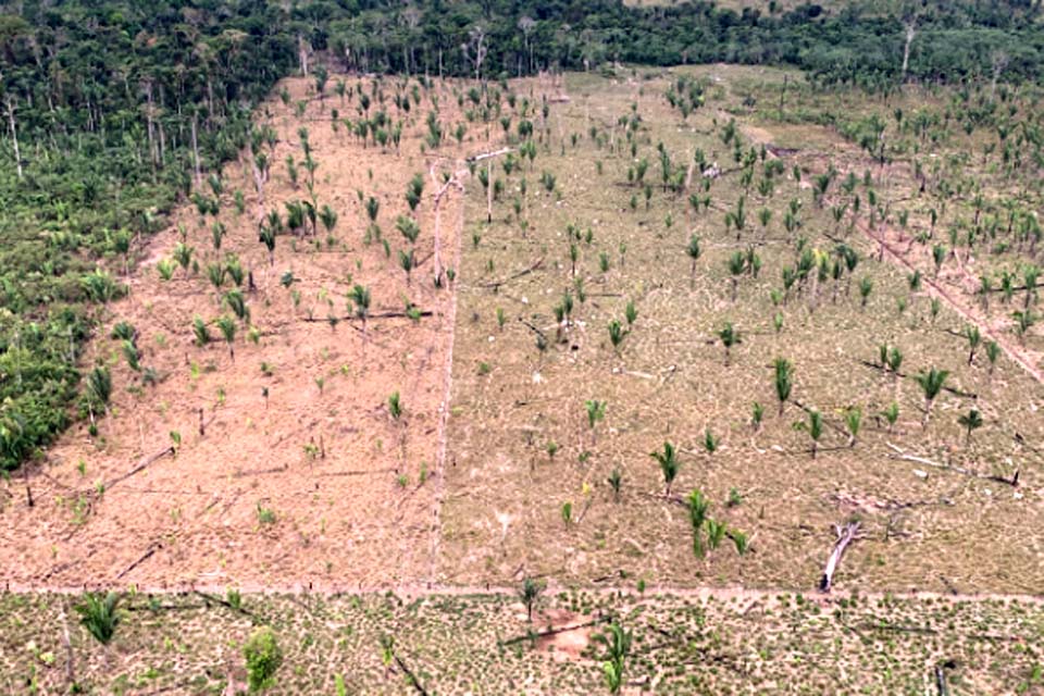 Proteção do meio ambiente: MPRO e IMAZON fazem Termo de Cooperação Técnica