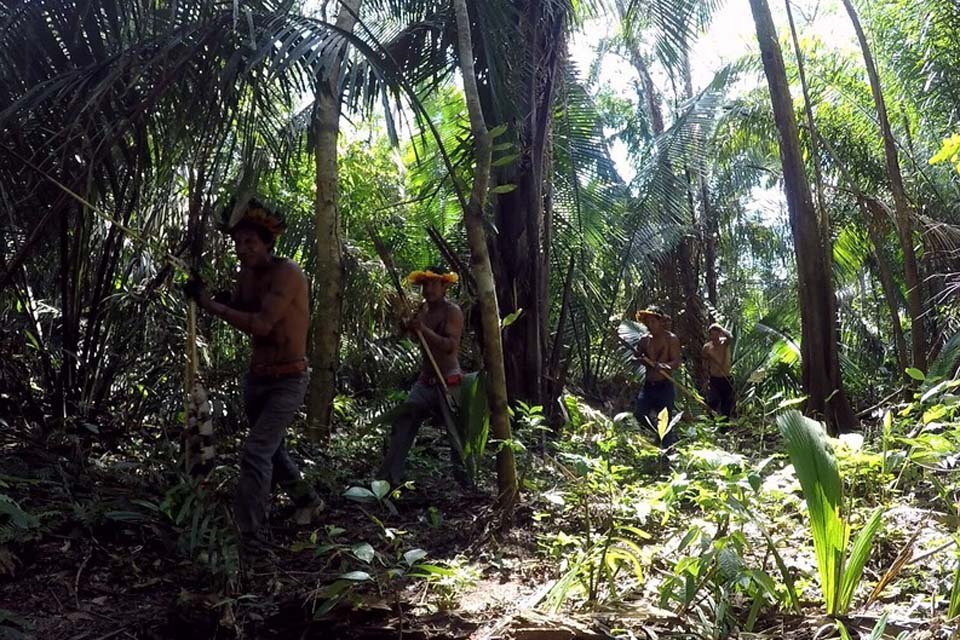 Rondônia passa de 1,3 mil casos de indígenas com Covid-19 e soma 28 mortes, aponta entidade