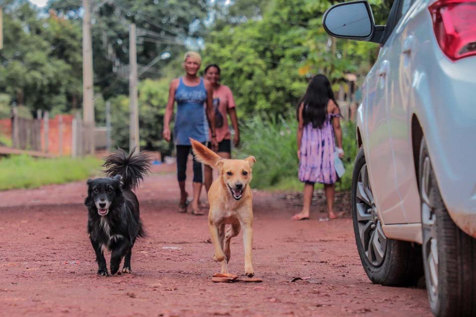 Em Porto Velho: Ação itinerante leva vacinação antirrábica à Vila Princesa