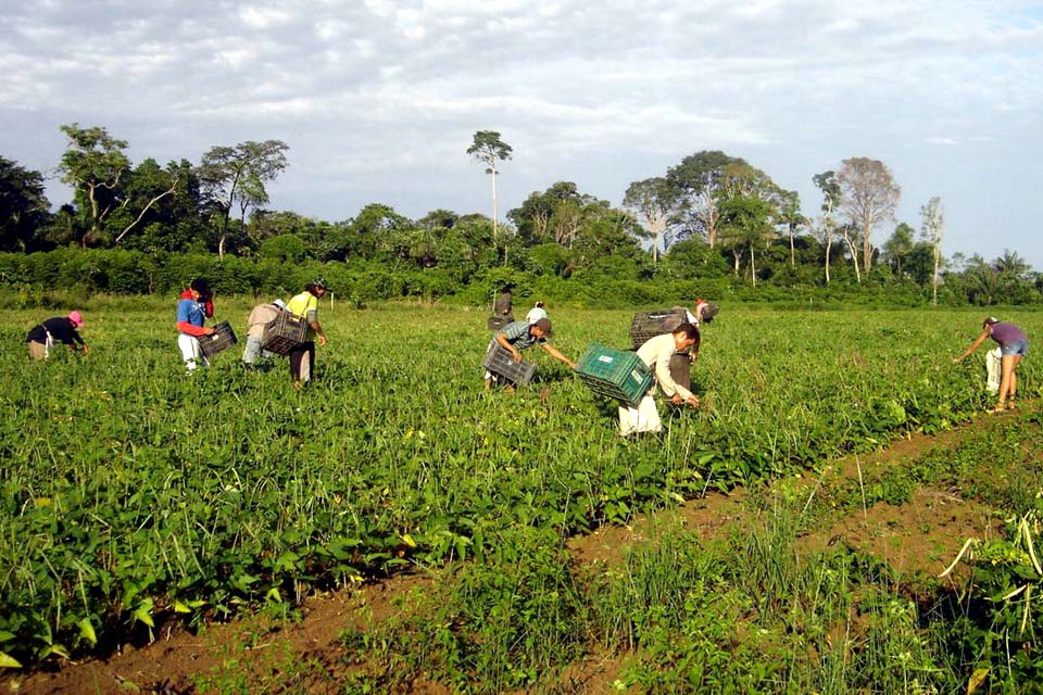 Trabalhadoras do campo recebem 20% a menos que os homens, diz relatório da FAO