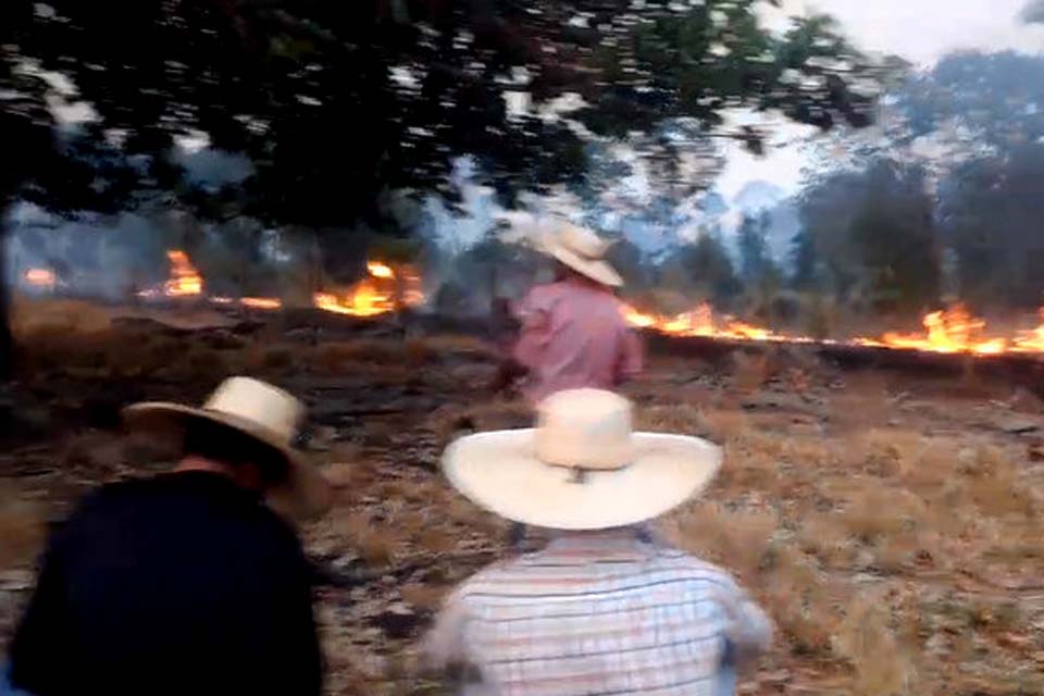 Incêndio que consome vegetação há oito dias e já devastou cerca de 200 alqueires preocupa sitiantes