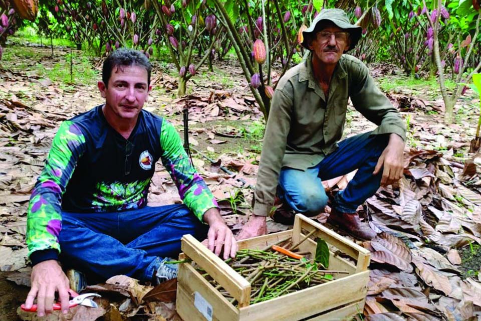 Experiências de agricultores de Rondônia serão aplicadas por meio de projeto em intercâmbio entre Brasil e Colômbia