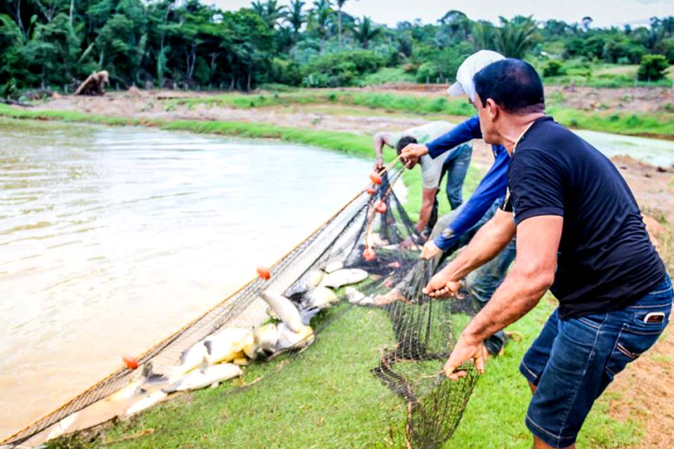 Sedam alerta sobre fim do período do defeso