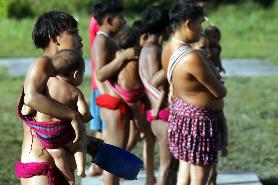 Senadores da Comissão Yanomami entram em acordo e aprovam relatório