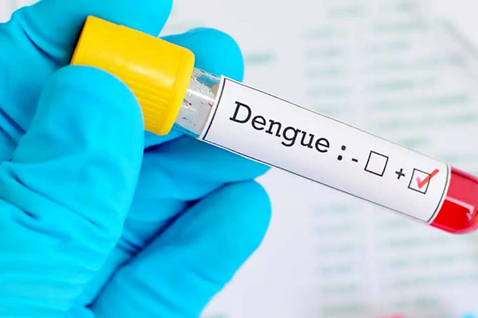 Número de casos de dengue em 2024  já é 305% maior que o ano de 2023