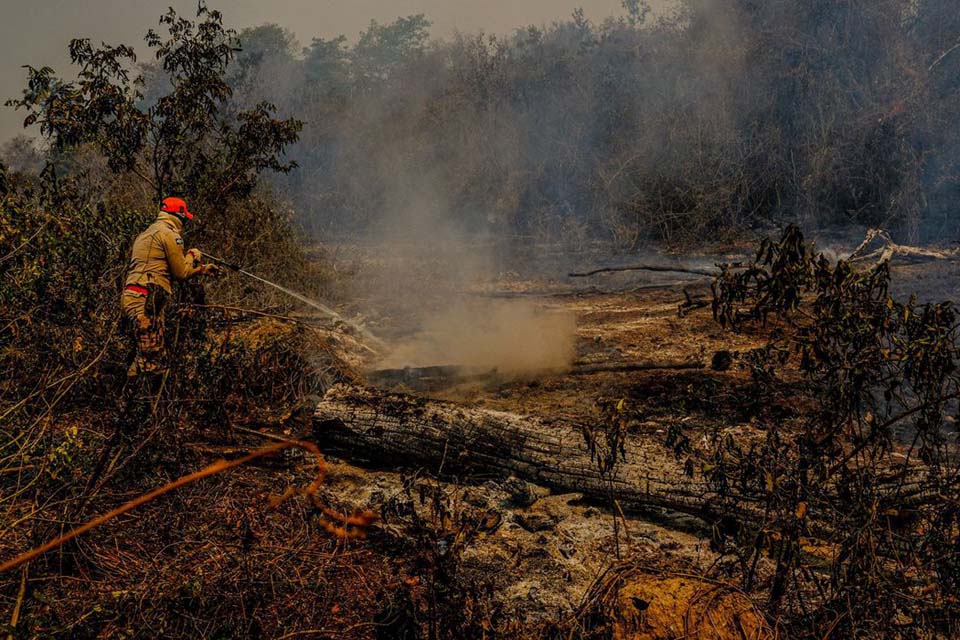 Senadores ouvem especialistas para elaborar Estatuto do Pantanal