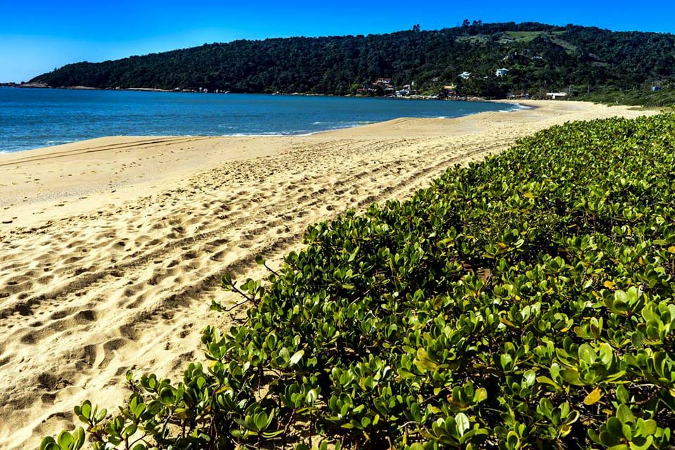 Número de praias e marinas premiadas no Bandeira Azul pode aumentar