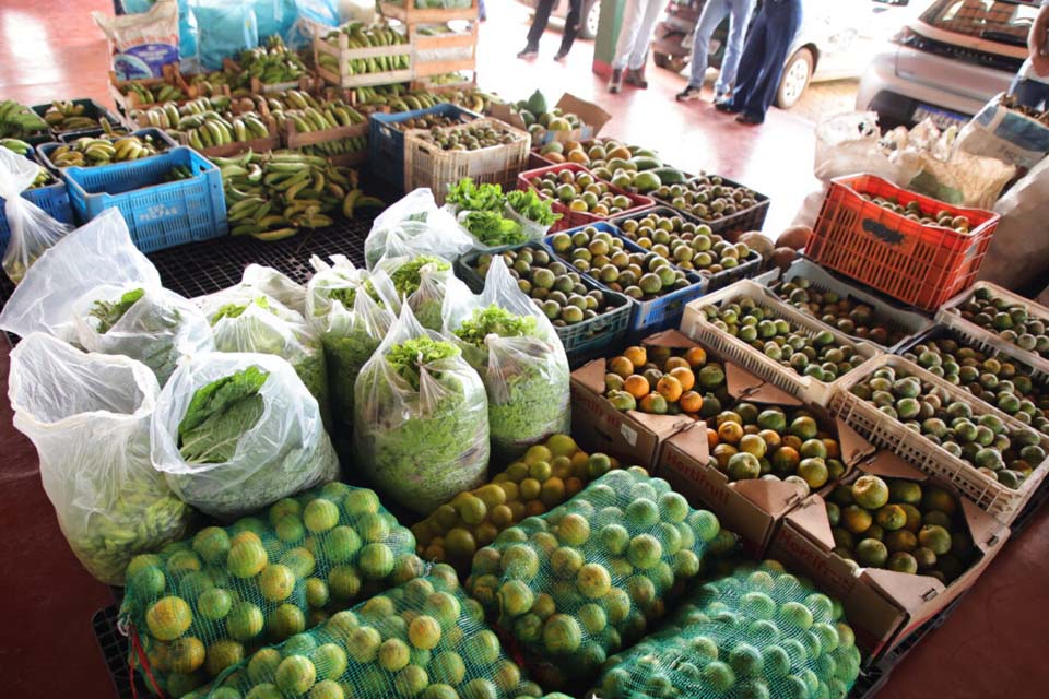 Programa de Aquisição de Alimentos contemplará 1.066 produtores rurais dos 52 municípios de Rondônia