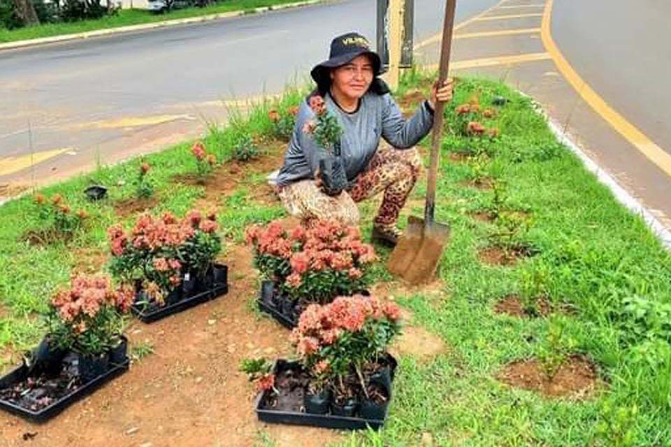 Prefeitura repõe flores furtadas que foram plantadas recentemente em rotatórias