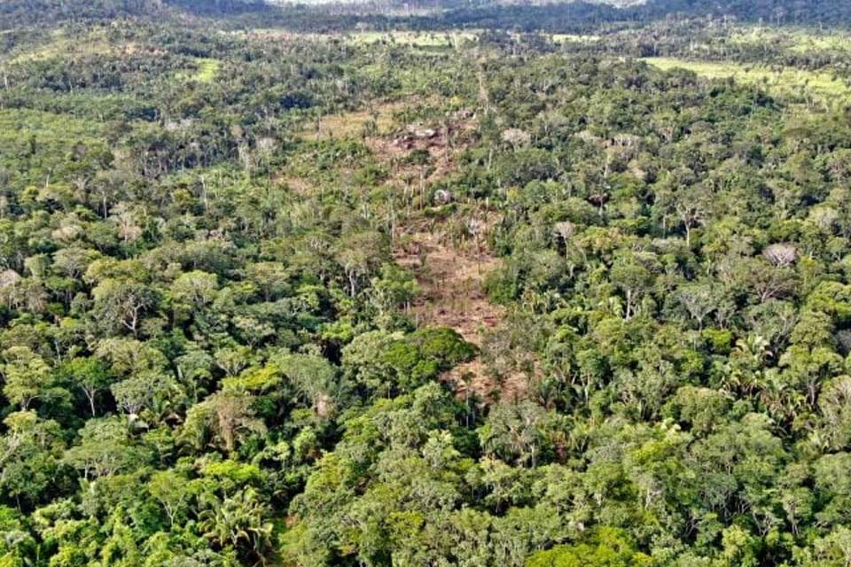 Reportagem sobre distribuição de carne do Carrefour relembra uso de fazendas irregulares pela JBS em Rondônia