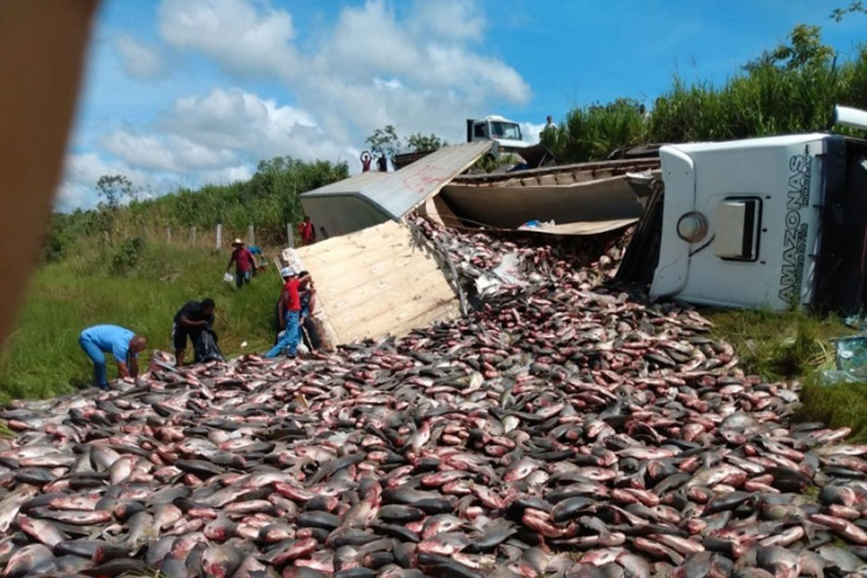 Caminhão com cerca de 30 toneladas de peixes tomba na BR-364