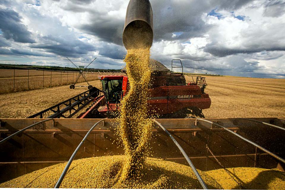 Produção agrícola deve chegar a 269,3 milhões de toneladas, diz Conab