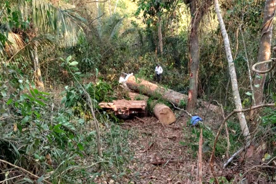 Motorista morre esmagado após caminhão toreiro perder controle e tombar