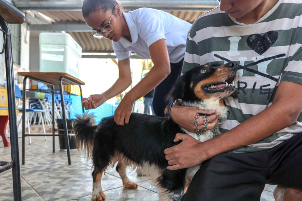 Tutores levam pets ao Dia D da Vacinação Antirrábica em Porto Velho