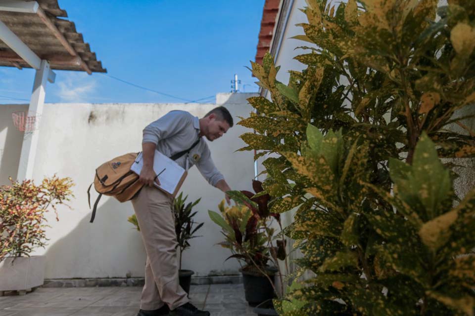 Levantamento aponta baixo risco para infestação do Aedes aegypti em Porto Velho