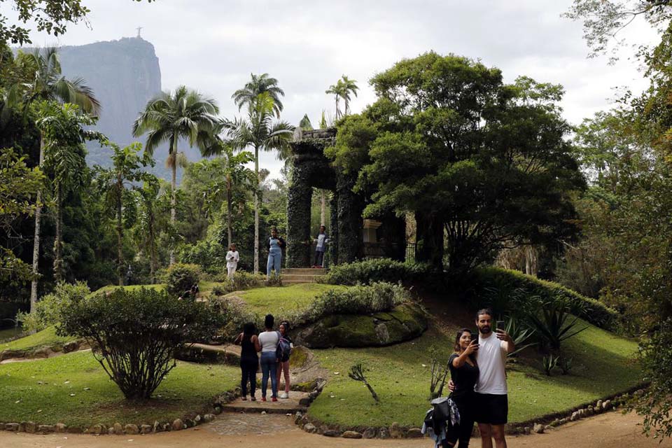 Painel Conserva Flora facilita acesso à flora ameaçada de extinção