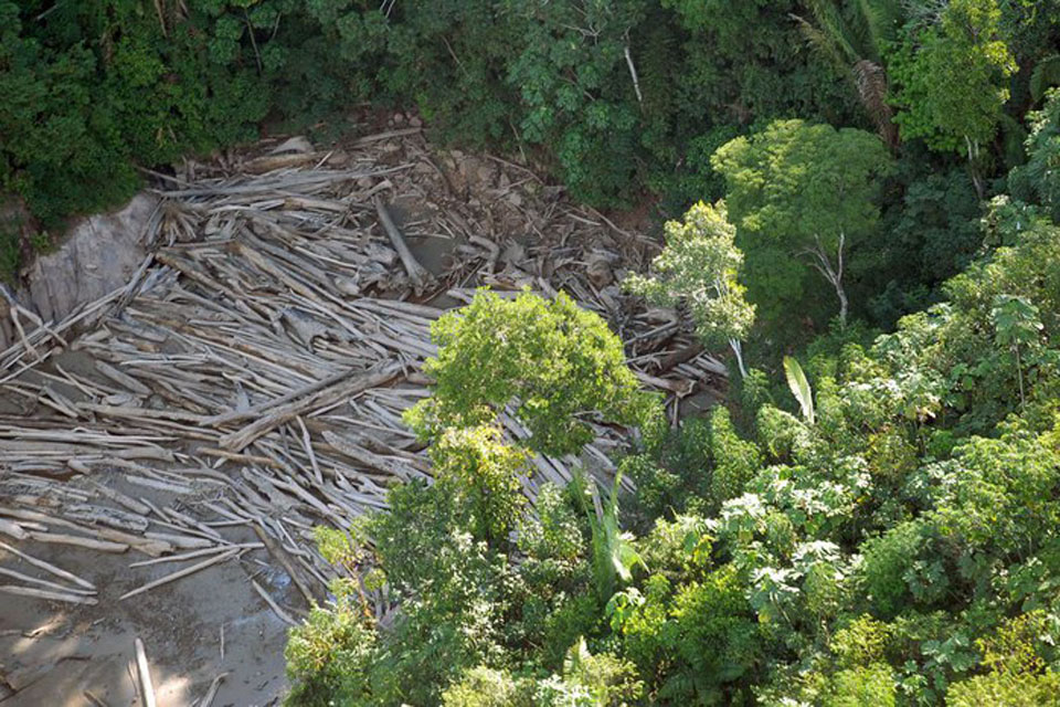   Advocacia-Geral da União cobra mais de R$ 2,6 bilhões de desmatadores da Amazônia