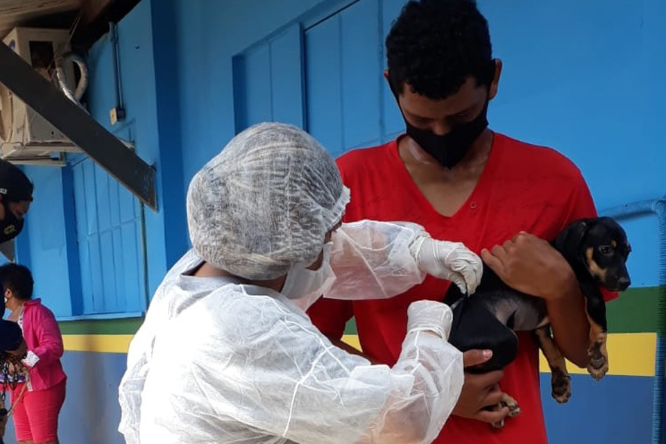 Prefeitura leva vacinação antirrábica para Nova Mutum e Jaci-Paraná