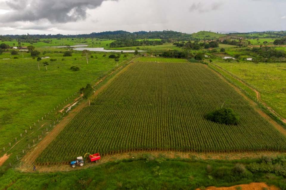 Secretaria de Agricultura presta assistência a agricultores na produção de Silagem