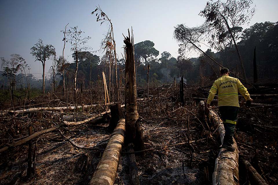 Alertas de desmatamento na Amazônia têm segundo pior novembro da série histórica, aponta Inpe