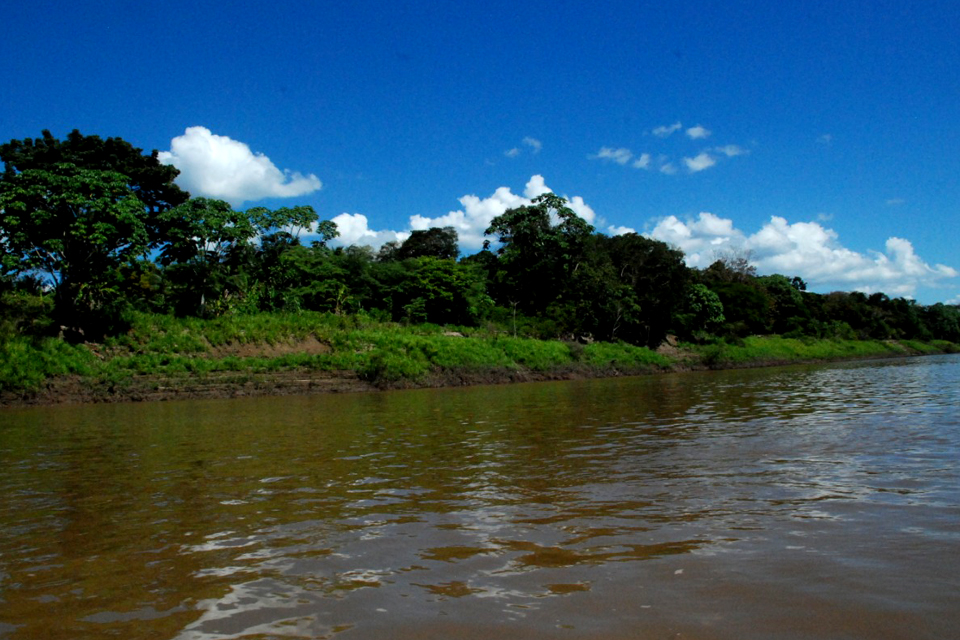 Prefeitura de Porto Velho celebra Semana do Meio Ambiente com programação virtual e presencial