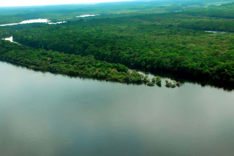 Plano do governo apresenta metas para reduzir desmatamento na Amazônia