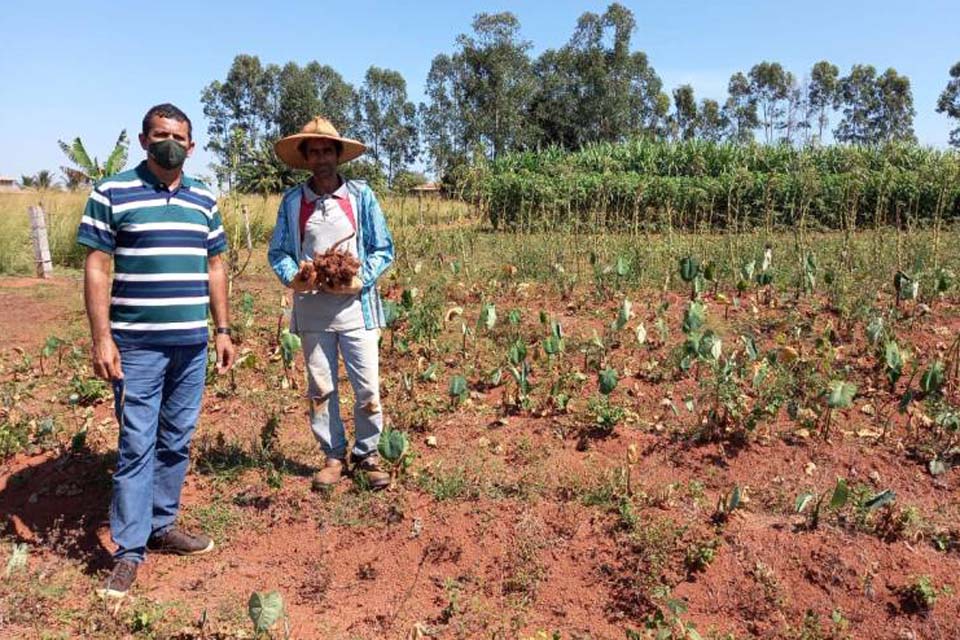 Afetados por fechamento de feiras na pandemia, pequenos produtores recorrem a programas de aquisição de alimentos