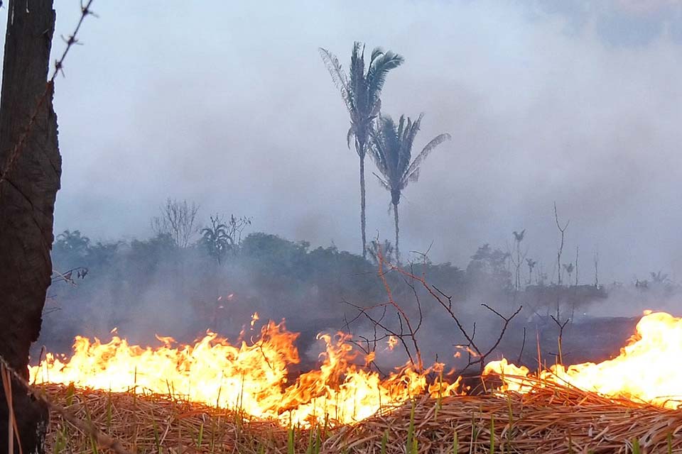 Emissão de gases do efeito estufa por queimadas na Amazônia cresce 60%