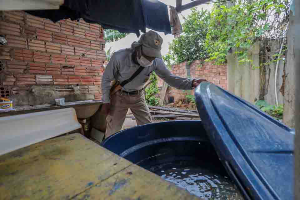 Período chuvoso contribui para o aumento de casos de dengue em Porto Velho