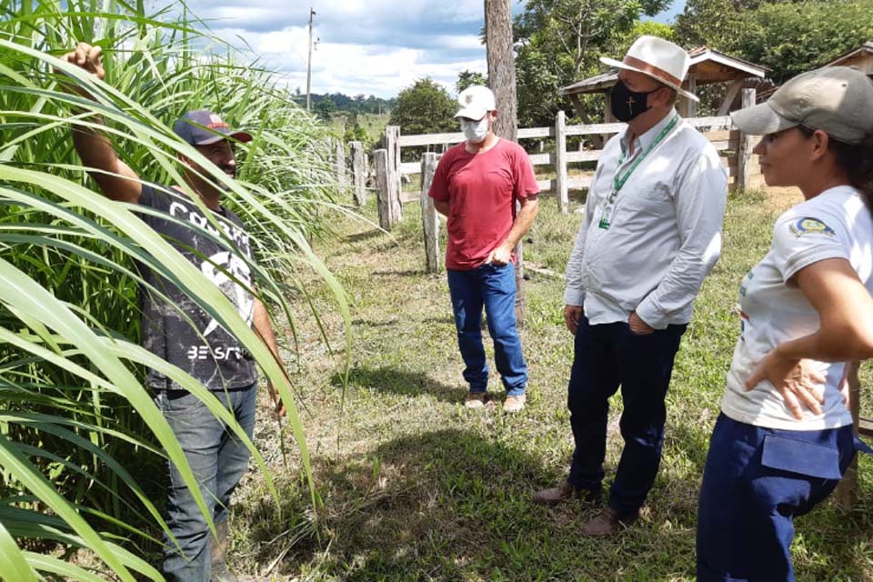 Emater ultrapassa barreiras e ajuda no desenvolvimento de pequenos produtores ao longo de 50 anos de trajetória