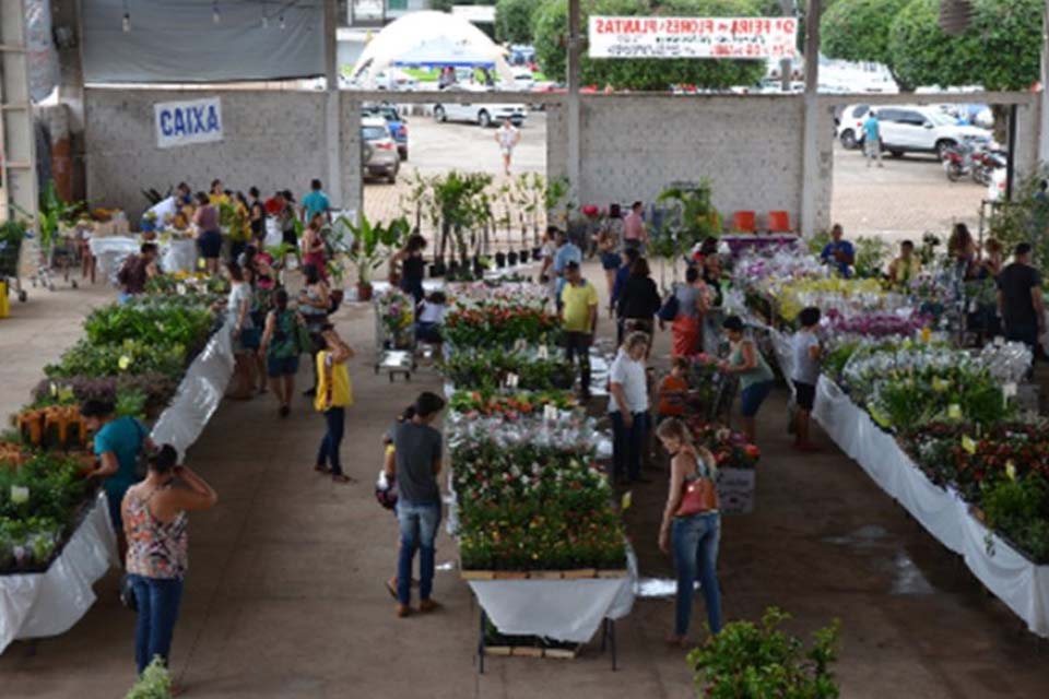 Vem aí a 15ª Feira de Flores de Holambra em Cacoal